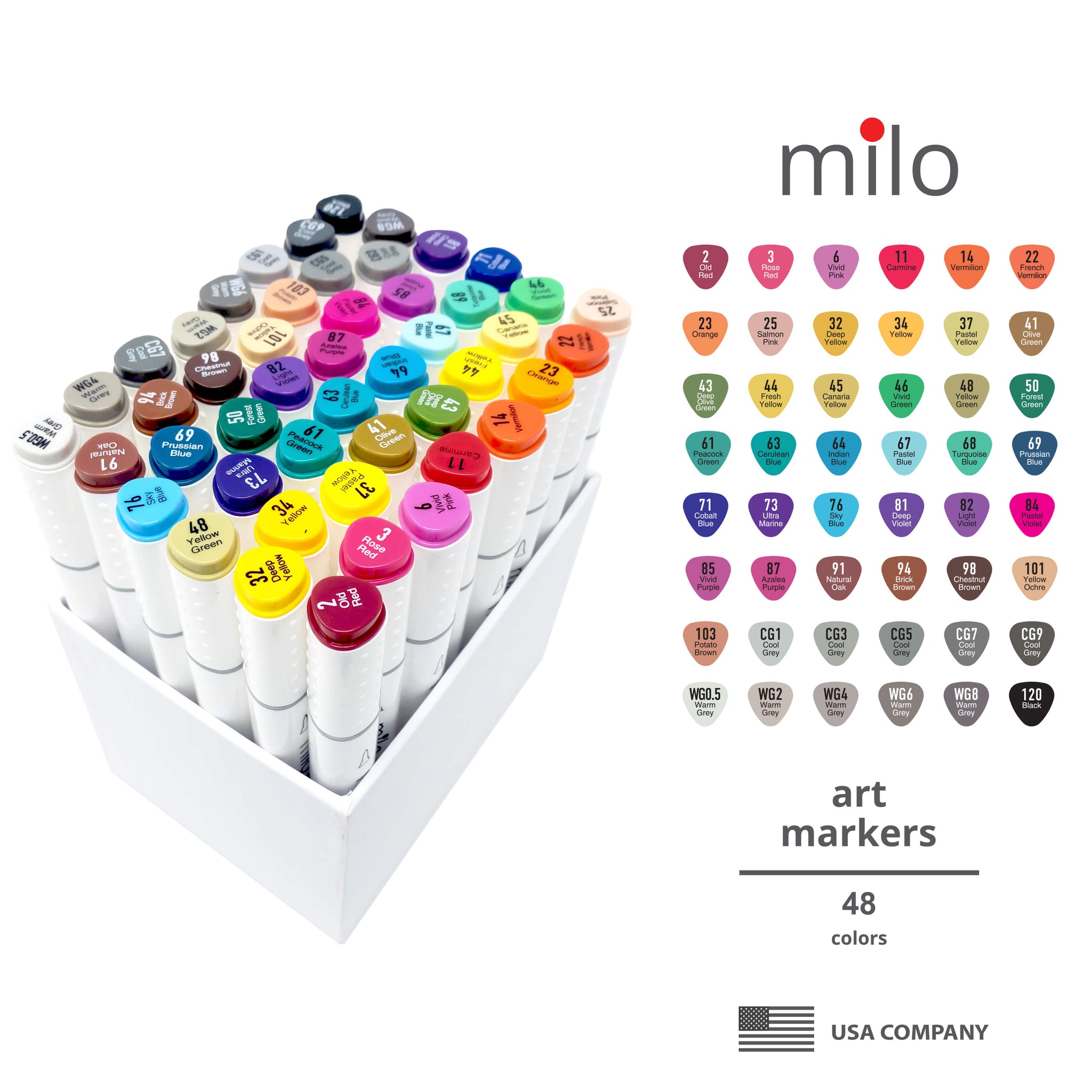 MILO  48 Art Marker Set Dual Tip Alcohol Based Brush Chisel Markers – Milo  Art Supplies